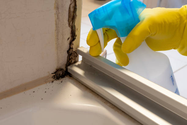 Best Toxic Mold Removal  in Spring House, PA