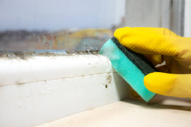 Best Commercial Mold Removal  in Spring House, PA